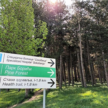 Apartman Rubi Sokobanja Kültér fotó